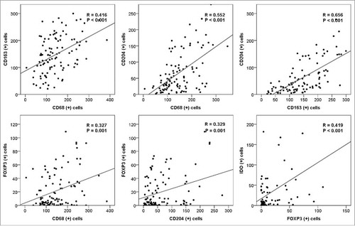 Figure 2. Correlations between the tumor-infiltrating CD68+, CD163+, CD204+, FOXP3+, and IDO+ cells in primary CNS-DLBCL. The counts of CD68+, CD163+, CD204+, FOXP3+, and IDO+ cells for each case were plotted, and correlations between the values were analyzed.
