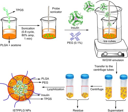 Figure 1 Synthesis of insulin-loaded TPGS-emulsified PEG-capped PLGA nanoparticles.Abbreviations: PEG, poly(ethylene glycol); PLGA, poly(lactic-co-glycolic) acid; TPGS, tocopherol poly(ethylene glycol) 1000 succinate.