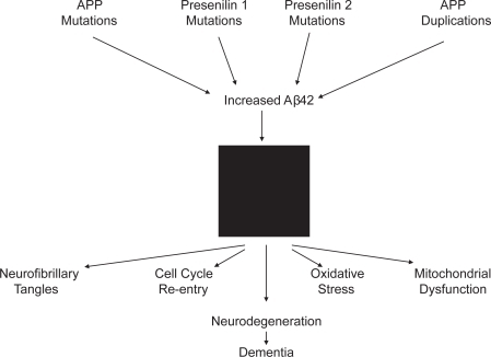 Figure 1 The amyloid cascade hypothesis. A black box is shown in the middle of the figure, since mechanisms through which Aβ42 drives downstream pathology are not well defined.