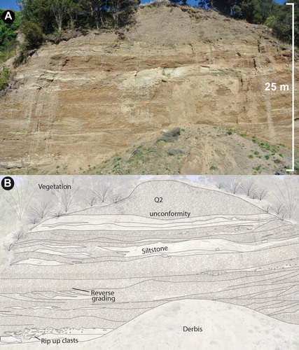 Figure 6. A, 25 m thick, clast supported conglomerate. Clasts are sub-rounded pebbles to cobbles of dominantly greywacke. Common channel cut and fill, rip up clasts and interbedded lenses of siltstone. Occurs between Kaukatea (0.9 Ma) and Kupe (0.65) pumice in Beaconsfield Valley (BL35 3194 6425). B, Sketch to illustrate structures within the conglomerate.