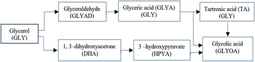 Figure 23. Main products of glycerol oxidation.