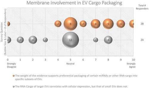 Figure 4. Membrane Involvement in EV cargo packaging. Two questions regarding the involvement of membranes in EV cargo packaging were administered in the Post-Workshop survey. For each question, participants’ answers are depicted horizontally on a Likert-scale from 0 to 10, with bubble size reflecting of the number of responders at each point on the scale. Responders are not sure whether miRNA or RNA cargo is specific to certain subtypes of EVs.
