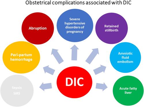 Figure 2 Obstetrical complications associated with DIC in pregnancy.