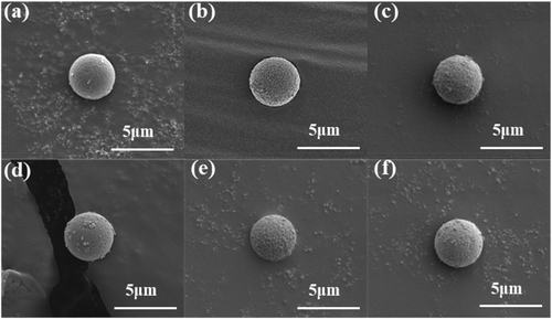 Figure 7. Reliability test (temperature 85°C and humidity 85%) of conductive copper ball with corrosive coating: (a) 0 h, (b) 12 h, (c) 24 h, (d) 48 h, (e) 72 h, and (f) 96 h.