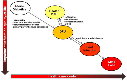 Fig. 1 The clinical states leading to limb loss among patients with diabetes mellitus and the risk factors that influence the transition between these states. DFU=diabetic foot ulcer.