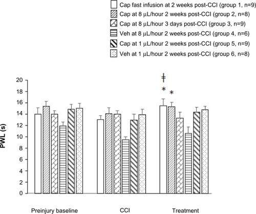 Figure 2 Intrathecal capsaicin increased PWL to noxious thermal stimulation in paw contralateral to nerve injury.