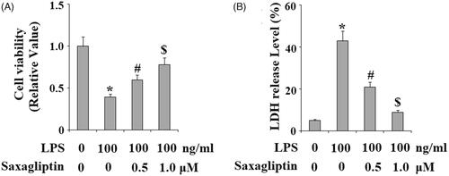 Figure 5. Saxagliptin prevented LPS-induced cell death of human dental pulp cells. Human dental pulp cells were treated with 100 ng/ml LPS in the presence or absence of saxagliptin (500 nM, 1 μM) for 48 h. (A). Cell viability was determined by MTT assay; (B). LDH release (*, #, $ p < .01 vs. previous column group).
