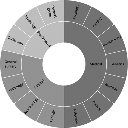 Figure 1. Representative of the relative contributions of different professions to the management of a patient with DSD.