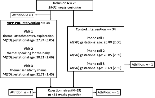 Figure 1. Timeline for the VIPP-PRE intervention as well as the feasibility data collected through a questionnaire. The mean gestational age of the unborn child is reported for all intervention appointments. Participants were randomly assigned to one of the groups.