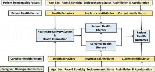 Figure 1 A conceptual framework for the influence of three major components on health outcome in the setting of the clinical encounter for both patients and caregivers: demographic factors, health literacy factors, and health status. Patient demographic factors include age, sex, ethnic group, and socioeconomic status. Acculturation and assimilation are also important demographic factors, encompassing language and culture. Health literacy factors include the health literacy of the patient and caregiver as well as the health care delivery itself and the health care information being conveyed. Patient health status includes disease, impairments, functional limitations, and disability. (Color figure available online.)