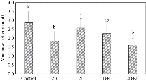 Figure 1. Effects of different diets on fecal bacterial mucinase activity.a-b Bars (mean ± SD, n = 8) among different groups with different letters are significantly different (P < 0.05).c Control: given chow diet only; 2B: given bromelain at a dose of 120 CDU/kg bw; 2I: given inulin at a dose of 260 mg/kg bw; B + I: given a mix of bromelain (60 CDU/kg bw) and inulin (130 mg/kg bw); 2B+ 2I: given a mix of bromelain (120 CDU/kg bw) and inulin (260 mg/kg bw).Figura 1. Efectos de distintas dietas en la actividad bacteriana en la mucinasa fecal.a-b Las barras (media ± DE, n = 8) con diferentes letras entre los distintos grupos son significativamente diferentes (P < 0.05).c Control: recibieron solo una dieta de alimentos; 2B: recibieron bromelina a una dosis de 120 CDU/kg bw; 2I: recibieron inulina a una dosis de 260 mg/kg bw; B + I: recibieron una mezcla de bromelina (60 CDU/kg bw) e inulina (130 mg/kg bw); 2B+ 2I: recibieron una mezcla de bromelina de (120 CDU/kg bw) e inulina de (260 mg/kg bw).bw = peso corporal