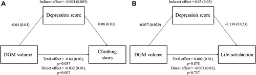Figure 1 The mediating effect of depression on the relationship between DGM volume with limitations in “climbing stairs” (A) and life satisfaction (B).