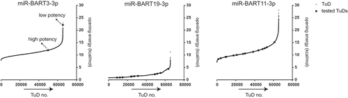 Figure 3. TuD opening energies computed for every possible TuD bulge nucleotide composition.All possible TuD sequences were generated in silico for miR-BART3-3p, miR-BART11-3p and miR-BART19-3p, i.e., TuDs were designed based on the miRNA sequence and the 65,536 (48) different miRNA-non complementary ‘bulge’ nucleotides combinations. Opening energies of the structures of all TuDs were calculated by the RNAup algorithm. The squares indicate the TuDs that were tested experimentally and whose efficiencies are shown in Figure 1C and 2B, respectively.