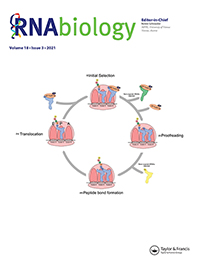 Cover image for RNA Biology, Volume 18, Issue 3, 2021