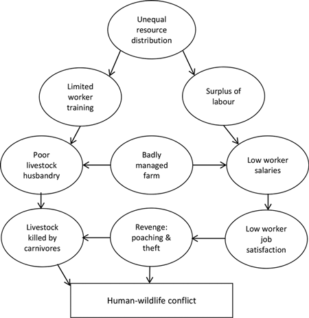 Figure 1. Social, political, and economic drivers of human–wildlife conflict on commercial farms in Namibia.
