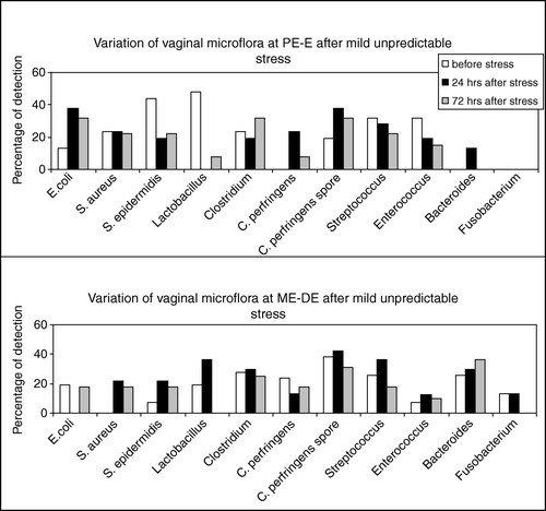 Figure 3.  Variation of the rat vaginal microflora throughout the estrous cycle after subacute mild unpredictable stress. The upper panel shows the alterations in the specific bacteria at PE and E, 24 h (black columns) and 72 h (grey columns) after subacute mild unpredictable stress. The lower panel shows the alterations in the specific bacteria at ME and DE, 24 h and 72 h after subacute mild unpredictable stress. The values are expressed as percentage of the animals where the organism was detected.