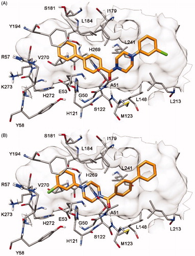 Figure 2. Docking of compound 1 into MAGL. (A) Binding mode A; (B) binding mode B.