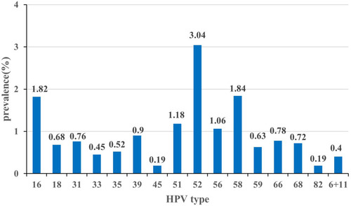 Figure 2 Distribution of HPV genotypes among healthy women.