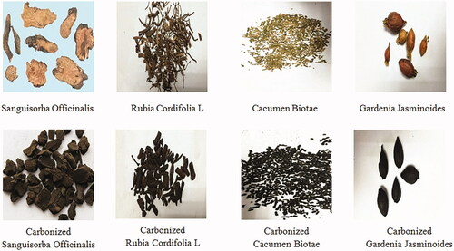 Figure 1. Four decoction pieces recorded as well as their respective carbonized products.