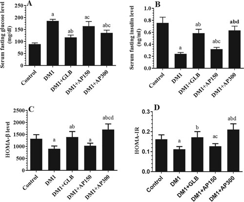 Figure 1. Serum levels of fasting glucose (A) and fasting insulin (B) levels, as well as calculated homeostasis model assessment of insulin release, β cell function (HOMA-β) and insulin resistance (HOMA-IR) in all experimental groups of rats. Data are expressed as mean ± SD (n=10). Values were considered significantly different at p < 0.05. a: significantly different as compared to control non-diabetic rats. b: significantly different as compared to streptozotocin-induced diabetic rats (DM1). c: significantly different as compared to DM1 + glimepiride (GLB)-treated rats. d: significantly different as compared to DM1 + Aloe perryi (AP) (150 mg/Kg)-treated rats. AP300: Aloe perryi (AP) (300 mg/Kg). HOMA-IR = [fasting insulin (ng/mL) × fasting blood glucose (mg/dL)/405], and HOMA-β = 20 × fasting insulin/fasting glucose − 3.5.