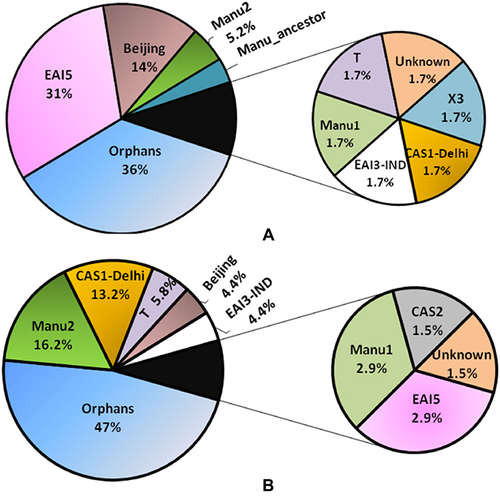 Figure 2 Percentage of different lineages for the isolates of Mumbai (A) and Lucknow (B) upon spoligotyping analyses using SITVIT2. CAS-Central Asian clade; EAI-East African Indian clade; T- ill-defined T clade; Beijing- East Asian Beijing clade; Orphans- unique patterns within any of the major clades listed in SITVIT2.