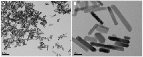 Figure 4 TEM images of biomimetic nanocrystalline hydroxyapatite with (A) low and (B) high magnifications.