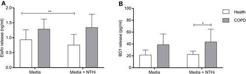 Figure 4 (A) Beta defensin-1 release from HBECs when untreated and infected with NTHi. (B) Elafin release from HBECs when untreated and infected with NTHi. Results are shown as a mean percentage change from untreated cell release. Tests were run in duplicate per experiment, from three separate experiments for each donor. Donors: health (n=3, white bars) and COPD (n=3, grey bars). Significant changes form basal release shown as * p<0.05 and ** p<0.01.