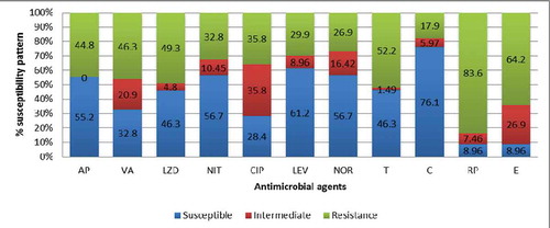 Figure 4. Susceptibility pattern of Enterococcus isolates against selected antimicrobial agents