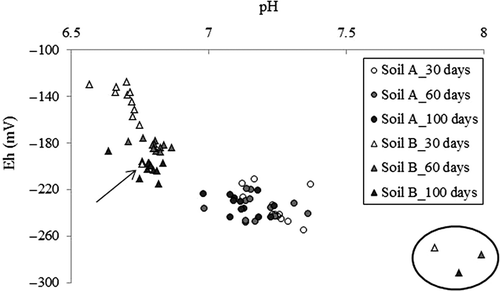 Figure 1 Average values of pH and Eh of soil solutions after incubation for 30, 60 and 100 d. The arrow indicates the data for the soil samples amended with poultry manure after incubation for 30 d; the circle indicates those amended with magnesium oxide.