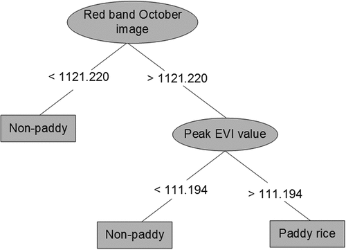 Figure 10. C4.5 generated decision tree rules for mapping paddy rice using the top 5 important features