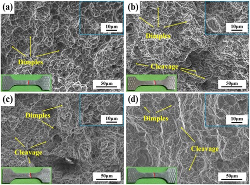 Figure 16. Tensile fracture morphology in building direction (a) AM (b) AMH (c) AMH-300 (d) AMH-400.