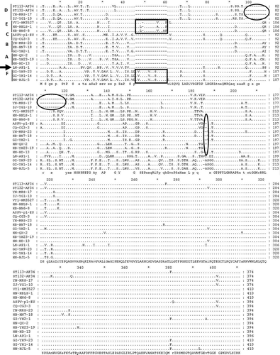 Fig. 2 Multiple alignments of amino acids of 16 representative ASPV CP sequences. 2–3 sequences from each subgroup in the phylogenetic tree in Fig. 1a were selected. LN-AP1-1 (arrow) from an apple isolate was used as a reference sequence. The deleted regions are represented by rectangular boxes and the inserted regions are represented by oval boxes.