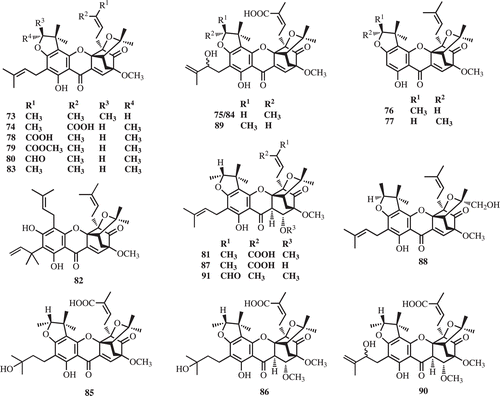 Figure 4.  Prenylated caged xanthones from G. scortechinii.