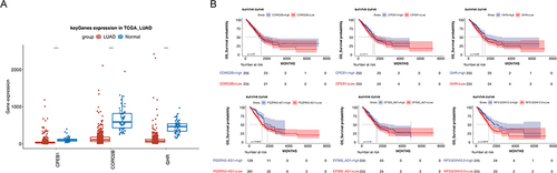 Figure 8 Analysis of ceRNA network. (A) Expression of CPEB1, CORO2B, and GHR in LUAD and NC samples. (B) Kaplan–Meier survival curves in the high- and low-expression groups of three prognostic lncRNAs and three DEmRNAs.