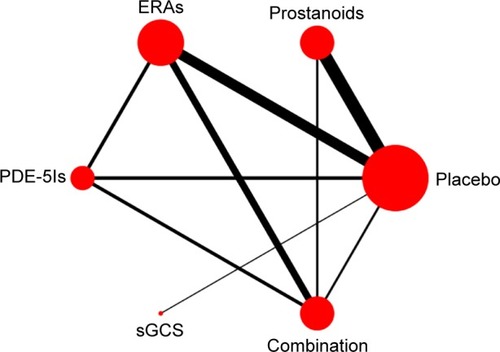 Figure 1 Network of available drugs for PAH.