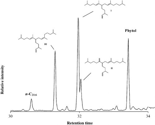 Fig. 42. Partial total ion current chromatogram of the non-saponifiable lipid fraction of the diatom Haslea nipkowii showing the presence of three C25 HBI isomers, n-C21:6 (heneicosahexaene) and phytol, the side chain of chlorophyll.