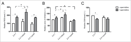 Figure 8. (A) Effect of spermidine on cellular reactive oxygen species levels. Cultures were grown under aerobic condition and harvested at an OD660 of 0.2 to quantify cellular reactive oxygen species (ROS) levels using the oxidation-sensitive fluorescent probe 2,7-dihydrodichlorofluorescein diacetate. The ROS level in wild type 2.4.1 without spermidine served as a control and was set to 100%. All other ROS levels were calculated relative to the control. (B) Effect of spermidine on resistance to organic hydroperoxides monitored by zone inhibition assays. The inhibition zone diameter from wild type 2.4.1 without spermidine served as a control and was set to 100%. (C) Effect of spermidine on intracellular GSH levels. The GSH level in wild type 2.4.1 without spermidine served as a control and was set to 100%. The error bars indicate the standard deviation from the mean of biological triplicates with technical replicates. Asterisks indicate a statistically significant change (p ≤ 0.05). Cultures were untreated (white bars) or treated with 10 mM spermidine (gray bars).