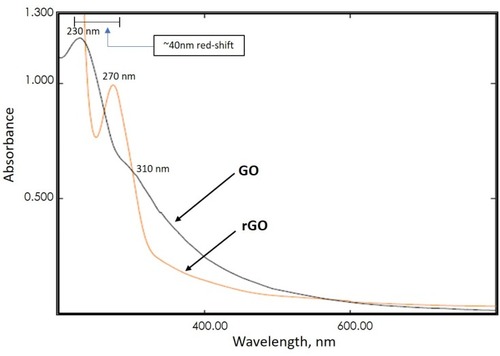 Figure 2 Absorption spectra of GO and rGO. It represents the peak shifts during the conversion of GO to rGO.