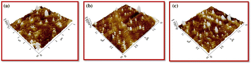 Figure 7. AFM Images of (a) MDAP/BTDA–PI/POSS (1 wt%) (b) MDAP/BTDA–PI/POSS (3 wt%) (c) MDAP/BTDA–PI/POSS (5 wt%).