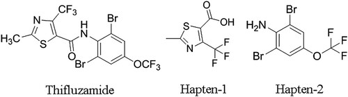 Figure 1. Chemical structures of thifluzamide and haptens.