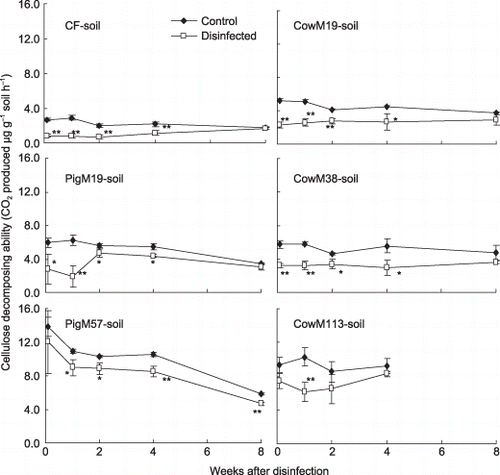 Figure 2  Effect of soil disinfection on the cellulose-decomposing ability of Ayabe soils to which two types of compost had been added. Error bars indicate standard deviation. *P < 0.05 and **P < 0.01 (significantly different from the control). CF, chemical fertilizers only; CowM19, 19 t year−1 of cow manure; CowM38, 38 t year−1 of cow manure; CowM113, 113 t year−1 of cow manure; PigM19, 19 t year−1 of pig slurry; PigM57, 57 t year−1 of pig slurry.
