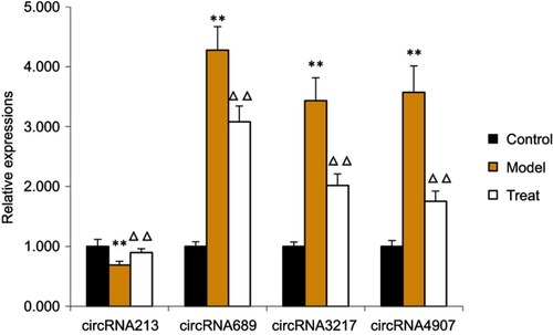 Figure 10 Validation of relative expression levels of circRNAs. GAPDH was used as an internal control. circRNA-213 was downregulated in the model group, and circRNA-689, circRNA-3217, and circRNA-4907 were upregulated. The qRT-PCR results are consistent with the HTS data.**P-value <0.01 between the model group and the control group. ∆∆P-value <0.01 between the model group and the QTXZG group.