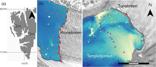 Figure 1. Location map of the two Svalbard tidewater glaciers (a) in this study: Kronebreen (b) and Tunabreen (c). Circles represent individual sample locations, with the colour corresponding to the day of sample collection on 2 and 4 May at Kronebreen (green and salmon), and 10, 13, and 14 August at Tunabreen (fuchsia, orange, and yellow, respectively). The red triangles indicate identified subglacial plume discharge locations. Background fjord images are masked Landsat-8 surface reflectance images collected on 2 May 2015 (b) and 14 August 2015 (c).