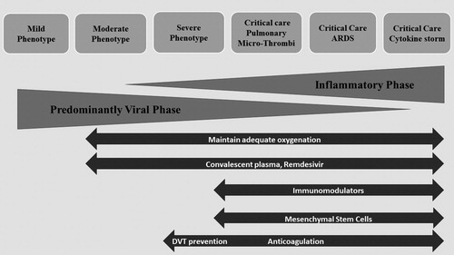 Figure 1. Phenotypes and possible therapeutic approaches for SARS-CoV-2 disease. Adapted from Siddiqi (2020).Citation 60