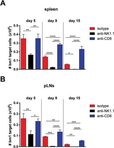 Figure 1. Host NK cells regulate CD8 T cell-mediated cytotoxic responses in vivo against bm1 hematopoietic target cells.Naïve B6 mice were treated at day 0 and day 7 with 1 mg/mouse of isotype control (red bars), anti-NK1.1 antibody (black bars) or anti-CD8 antibody (blue bars). The same day, the three groups of mice were injected with CFSE-labeled female bm1 splenocytes (15 × 10Citation6 splenocytes). The absolute number of bm1 hematopoietic cells remaining in spleen and peripheral lymph nodes (pLNs) (inguinal plus axillary and brachial) was evaluated at day 5, 9 and 15 after cell transfer. Results are expressed as mean ± SD and the data comes from a pool of two experiments with three mice per experimental group.*, p < 0.05; **, p < 0.005; ***, p < 0.0005 were considered statistically significant.