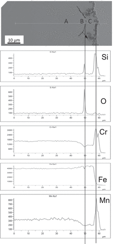 Figure 7. BSE image of a cross-section through a sample of SS304 exposed to 900 °C for 100 hours with EDS line scans showing penetration of silicon oxides along the grain boundary encapsulating a region of the alloy. The concentration of Cr at the three sites indicated in the micrograph are (A) 19.2 wt.%, (B) 15.1 wt.% and (C) 12.1 wt.% showing greater depletion occurring within the encapsulated region.