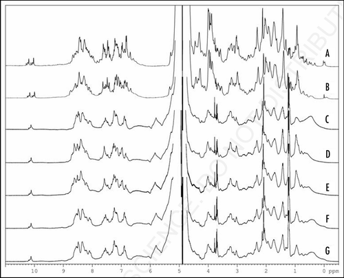 Figure 4 1H-NMR spectral changes of monomeric and oligomeric huPrPC(23–231) caused by pressure-jump up and down. (A) 1H NMR spectrum of (15N-enriched) monomeric huPrPC(23–231) at 293 K at 0.3 MPa. (B) The same as (A), but at 200 MPa. (C) 1H NMR spectrum of reduced oligomeric huPrPoligo(23–231) at 298 K at 0.3 MPa. (D) The same as (C), but 30 min after the pressure-jump from 0.3 MPa to 200 MPa. (E) The same as (C), but 46 h after the pressure-jump from 0.3 MPa to 200 MPa. (F) The same as (C), but 30 min after the pressure-jump back from 200 MPa to 0.3 MPa. (G) The same as (C), but 9.5 h after the pressure-jump back from 200 MPa to 0.3 MPa.