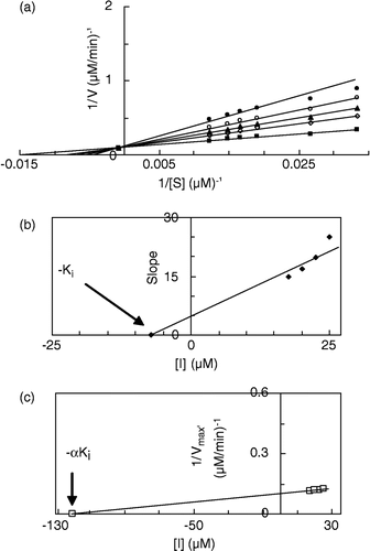 Figure 3 (a) Double reciprocal Lineweaver-Burk plots of MT kinetic assay for cresolase reactions of MePAPh in 10 mM phosphate buffer, pH 6.8, at temperature of 20°C and 112.68 μg/mL enzyme concentration, in the presence of different concentrations of II: 0 mM (▪), 0.0175 mM (◊), 0.02 mM (▴), 0.0225 mM (○), 0.025 mM (•). (b) Secondary plot of the slope against the concentration of inhibitor, which gives the − Ki from the abscissa-intercept. (c) Secondary plot of 1/Vmax′ versus concentration of inhibitor, which gives − αKi from the abscissa-intercept.