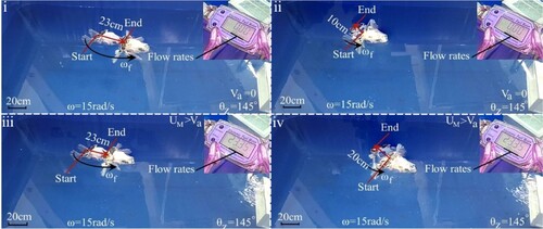 Figure 21. Sequence diagram of swimming within the recovery phase of the robot in flowing water.