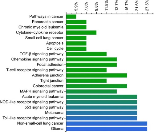 Figure 3 Potential pathways annotation of putative targets.